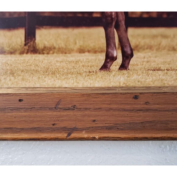 Vintage Thoroughbred Horse Grey Stallion Framed Picture Print - Picture 2 of 6